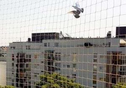 Vedhansh-Sports-Image-5